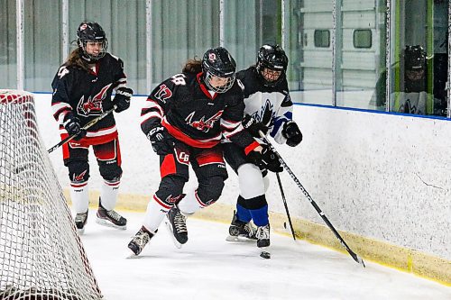 Daniel Crump / Winnipeg Free Press. Beliveau&#x573; Madeline Ranson (12) fights for the puck with a College Jeanne-Suave player. Winnipeg Women&#x573; High School Hockey League hockey Jeanne-Suave Olympiens vs. Beliveau Barracudas at the Southdale Arena in Winnipeg. November 17, 2021.