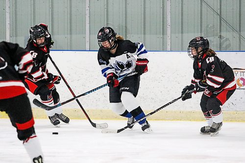 Daniel Crump / Winnipeg Free Press. College Jeanne-Suave&#x573; Annika Devine (12) dekes between two Beliveau players. Winnipeg Women&#x573; High School Hockey League hockey Jeanne-Suave Olympiens vs. Beliveau Barracudas at the Southdale Arena in Winnipeg. November 17, 2021.