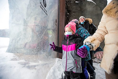 MIKAELA MACKENZIE / WINNIPEG FREE PRESS

Sophie Lefebvre, grade one/two student from Lavallee School, watches the polar bears on a zoo tour during a Winter Wonderland party organized by Variety for kids from low-income schools at the Assiniboine Park Zoo in Winnipeg on Monday, Nov. 22, 2021. For Doug Speirs story.
Winnipeg Free Press 2021.