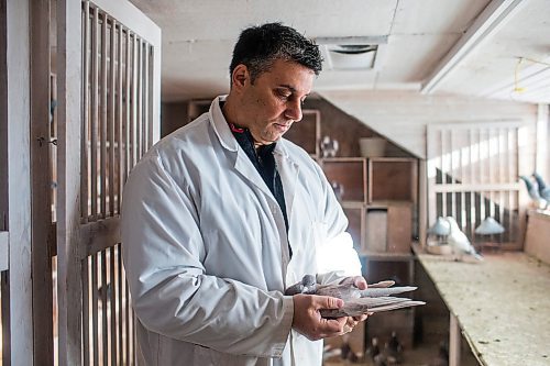 MIKAELA MACKENZIE / WINNIPEG FREE PRESS

Bill Voulgaris poses for a portrait with a racing pigeon at VV Loft in Winnipeg on Saturday, Nov. 20, 2021. For Ben Waldman story.
Winnipeg Free Press 2021.