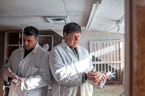 MIKAELA MACKENZIE / WINNIPEG FREE PRESS

Bill Voulgaris (left) and Ken Van Walleghem pose for a portrait with their racing pigeons at VV Loft in Winnipeg on Saturday, Nov. 20, 2021. For Ben Waldman story.
Winnipeg Free Press 2021.