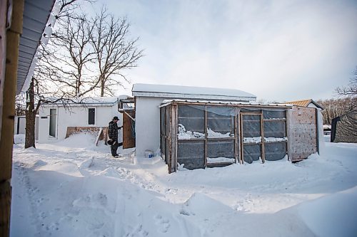 MIKAELA MACKENZIE / WINNIPEG FREE PRESS

Joe Belchior opens the door to his racing pigeon loft on his property near Woodlands, Manitoba on Saturday, Nov. 20, 2021. For Ben Waldman story.
Winnipeg Free Press 2021.