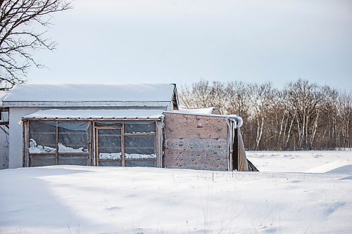 MIKAELA MACKENZIE / WINNIPEG FREE PRESS

Joe Belchior's racing pigeon loft on his property near Woodlands, Manitoba on Saturday, Nov. 20, 2021. For Ben Waldman story.
Winnipeg Free Press 2021.