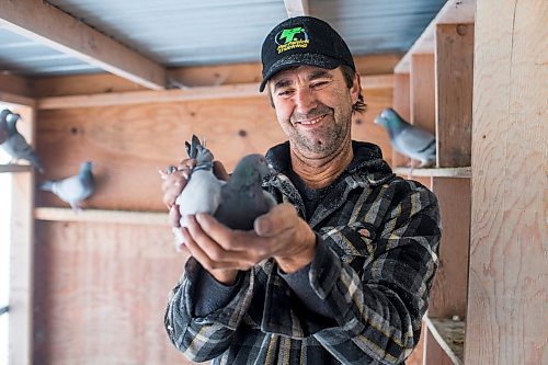 MIKAELA MACKENZIE / WINNIPEG FREE PRESS

Joe Belchior poses for a portrait with a racing pigeon in his loft on his property near Woodlands, Manitoba on Saturday, Nov. 20, 2021. For Ben Waldman story.
Winnipeg Free Press 2021.