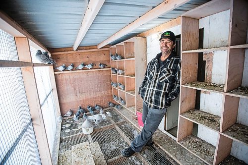 MIKAELA MACKENZIE / WINNIPEG FREE PRESS

Joe Belchior poses for a portrait in his racing pigeon loft on his property near Woodlands, Manitoba on Saturday, Nov. 20, 2021. For Ben Waldman story.
Winnipeg Free Press 2021.