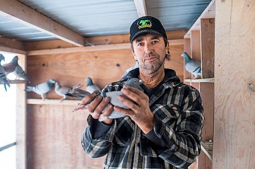 MIKAELA MACKENZIE / WINNIPEG FREE PRESS

Joe Belchior poses for a portrait with a racing pigeon in his loft on his property near Woodlands, Manitoba on Saturday, Nov. 20, 2021. For Ben Waldman story.
Winnipeg Free Press 2021.