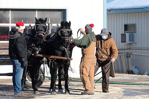 SHANNON VANRAES / WINNIPEG FREE PRESS
Craig Gardner (far right) and his horse team&#x2014;Tom and Jerry&#x2014;prepare to pull a wagon of delighted kids through Ron Paul Garden Centre on November 27, 2021. Ray DuBois owns the garden centre and wasn&#x2019;t sure he&#x2019;d be able to offer sleigh rides this year, but Gardner stepped in at the last minute after learning about an online post searching for a replacement horse team and driver. &#x201c;It was really just the spirit of Christmas coming through,&#x201d; DuBois said.