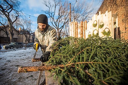 MIKAELA MACKENZIE / WINNIPEG FREE PRESS

Robin Bryan cuts down Christmas trees at Pete's Trees in Winnipeg on Friday, Dec. 3, 2021. For Martin Cash story.
Winnipeg Free Press 2021.