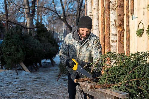 MIKAELA MACKENZIE / WINNIPEG FREE PRESS

Robin Bryan cuts down Christmas trees at Pete's Trees in Winnipeg on Friday, Dec. 3, 2021. For Martin Cash story.
Winnipeg Free Press 2021.