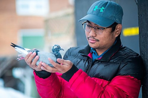 MIKAELA MACKENZIE / WINNIPEG FREE PRESS

Ivan Reyes poses for a portrait with a racing pigeon at the Team Reyes loft in Winnipeg on Friday, Nov. 26, 2021. For Ben Waldman story.
Winnipeg Free Press 2021.