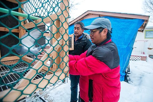 MIKAELA MACKENZIE / WINNIPEG FREE PRESS

Ivan Reyes and his dad, Alan Reyes, at the Team Reyes racing pigeon loft in Winnipeg on Friday, Nov. 26, 2021. For Ben Waldman story.
Winnipeg Free Press 2021.