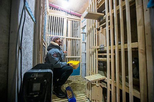 MIKAELA MACKENZIE / WINNIPEG FREE PRESS

Angelo Reyes feeds the birds at the Team Reyes racing pigeon loft in Winnipeg on Friday, Nov. 26, 2021. For Ben Waldman story.
Winnipeg Free Press 2021.