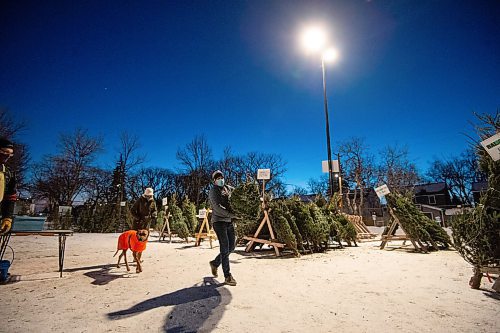 Mike Sudoma / Winnipeg Free Press
Alex (right), Maria (left) and their pup Reginald haul a tree back to their car at the 67th Winnipeg Scout Group Christmas Tree Lots held at the Corydon Community Centre Monday evening
December 20, 2021 