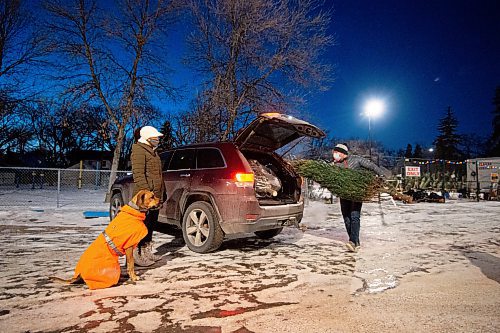Mike Sudoma / Winnipeg Free Press
Alex Polishcuk (right), Maria Polishchuk (left) and their pup Reginald stuff a freshly purchased tree into the back of their car at the Monday evening at the 67th Winnipeg Scout Group Christmas Tree Lots held at the Corydon Community Centre 
December 20, 2021 