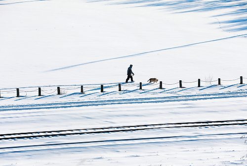 RUTH BONNEVILLE / WINNIPEG FREE PRESS

Standup - dog walker 

As a dog owner walks his dog he appears to be in a near-barren landscape from the perspective on top of Garbage Hill Thursday.

lDec 23rd,,  2021
