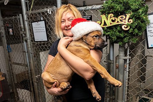 Volunteer Lisa Mitchell holds a puppy at the Brandon Humane Society Thursday, Dec. 16. (Chelsea Kemp/The Brandon Sun)