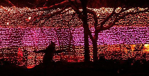 JOHN WOODS / WINNIPEG FREE PRESS
A skater makes their way past a light display as people enjoy the displays by skating and walking throughout The Forks, Monday, January 3, 2022. 

Re: Standup