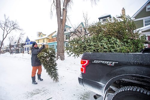 MIKAELA MACKENZIE / WINNIPEG FREE PRESS

Mark Dewar tosses Christmas trees into a pickup to take down to the river, where they will help shelter areas at the Wolseley Winter Wonderland community skating path in Winnipeg on Tuesday, Jan. 4, 2022. Standup.
Winnipeg Free Press 2021.