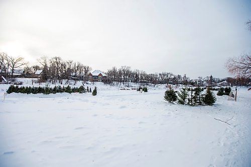 MIKAELA MACKENZIE / WINNIPEG FREE PRESS

Repurposed Christmas trees at the Wolseley Winter Wonderland skating network on the Assiniboine River in Winnipeg on Wednesday, Jan. 5, 2022. For Malak story.
Winnipeg Free Press 2022.