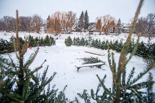 MIKAELA MACKENZIE / WINNIPEG FREE PRESS

The fire ring made of repurposed Christmas trees at the Wolseley Winter Wonderland skating network on the Assiniboine River in Winnipeg on Wednesday, Jan. 5, 2022. For Malak story.
Winnipeg Free Press 2022.