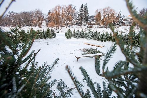 MIKAELA MACKENZIE / WINNIPEG FREE PRESS

The fire ring made of repurposed Christmas trees at the Wolseley Winter Wonderland skating network on the Assiniboine River in Winnipeg on Wednesday, Jan. 5, 2022. For Malak story.
Winnipeg Free Press 2022.