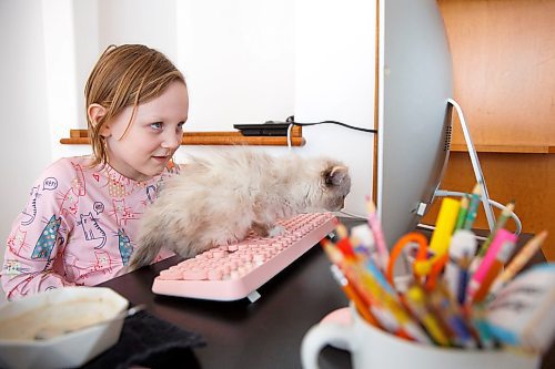 MIKE DEAL / WINNIPEG FREE PRESS
Piper Smith, 7, is a grade 2 student who is accessing the French Immersion program through MRLSC and has been doing remote school since September.
Piper takes part in her online class while her kitten, Renfri, escapes her arms to climb onto the desk.
The Manitoba Remote Learning Support Centre (MRLSC) launched one year ago, with a promise of providing families with at-home supports and real-time teaching for those who are immunocompromised.
See Maggie Macintosh story
220111 - Tuesday, January 11, 2022.