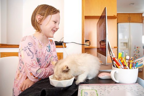 MIKE DEAL / WINNIPEG FREE PRESS
Piper Smith, 7, is a grade 2 student who is accessing the French Immersion program through MRLSC and has been doing remote school since September.
Piper takes part in her online class while her kitten, Renfri, sneaks a taste of her cream of mushroom soup.
The Manitoba Remote Learning Support Centre (MRLSC) launched one year ago, with a promise of providing families with at-home supports and real-time teaching for those who are immunocompromised.
See Maggie Macintosh story
220111 - Tuesday, January 11, 2022.