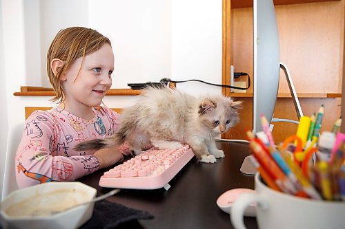 MIKE DEAL / WINNIPEG FREE PRESS
Piper Smith, 7, is a grade 2 student who is accessing the French Immersion program through MRLSC and has been doing remote school since September.
Piper takes part in her online class while her kitten, Renfri, escapes her arms to climb onto the desk.
The Manitoba Remote Learning Support Centre (MRLSC) launched one year ago, with a promise of providing families with at-home supports and real-time teaching for those who are immunocompromised.
See Maggie Macintosh story
220111 - Tuesday, January 11, 2022.