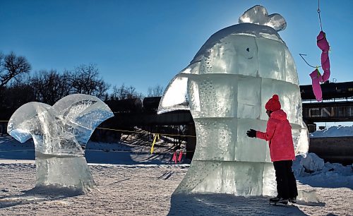A young skater examines the ice sculpture called &quot;This Big&quot; made by Tina Soli and Luca Roncoroni from Norway, on the River Trail at The Forks Sunday afternoon.   150301 March 01, 2015 Mike Deal / Winnipeg Free Press