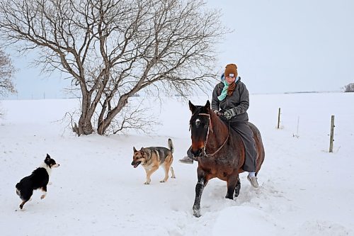 12012021
Rachel Dowd rides her quarter-horse mare JT Frosted through the snow on a property east of Wawanesa on a mild Wednesday.  (Tim Smith/The Brandon Sun)