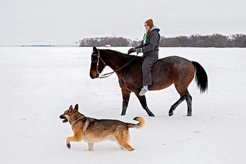 12012021
Rachel Dowd rides her quarter-horse mare JT Frosted through the snow on a property east of Wawanesa as one of the family dogs walks by their side on a mild Wednesday.  (Tim Smith/The Brandon Sun)