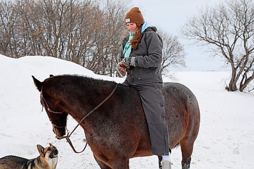 12012021
Rachel Dowd rides her quarter-horse mare JT Frosted through the snow on a property east of Wawanesa on a mild Wednesday.  (Tim Smith/The Brandon Sun)