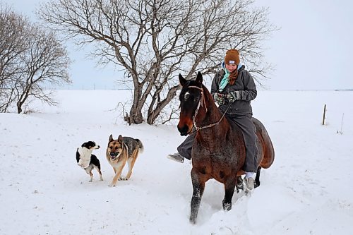 12012021
Rachel Dowd rides her quarter-horse mare JT Frosted through the snow on a property east of Wawanesa on a mild Wednesday.  (Tim Smith/The Brandon Sun)