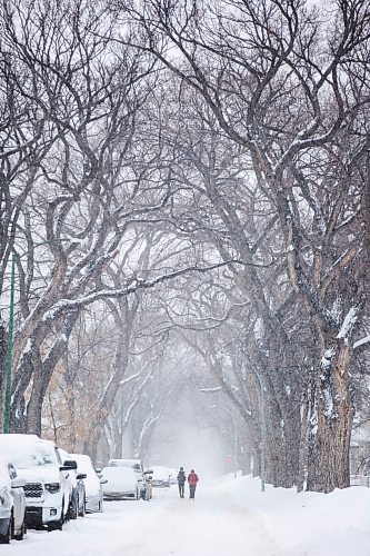 MIKAELA MACKENZIE / WINNIPEG FREE PRESS

Ahmad Alhassan (left) and Mohamad Hasan walk in the street to avoid the snowy sidewalks in Winnipeg on Tuesday, Jan. 18, 2022. Standup.
Winnipeg Free Press 2022.