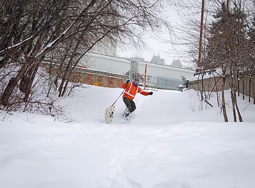 JESSICA LEE / WINNIPEG FREE PRESS

Jeremy Stevens&#x2019; work called a snow day so he and his dog Taiga went to The Forks. He is seen snowboarding down some steps at The Forks with Taiga on January 18, 2022. 







