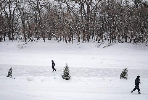 JESSICA LEE / WINNIPEG FREE PRESS

Pedestrians skate and run at The Forks on January 18, 2022. 







