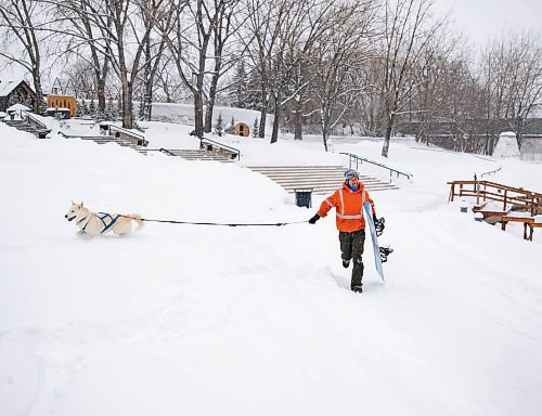 JESSICA LEE / WINNIPEG FREE PRESS

Jeremy Stevens&#x2019; work called a snow day so he and his dog Taiga went to The Forks. He is seen snowboarding down some steps at The Forks with Taiga on January 18, 2022. 







