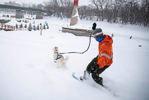 JESSICA LEE / WINNIPEG FREE PRESS

Jeremy Stevens&#x2019; work called a snow day so he and his dog Taiga went to The Forks. He is seen snowboarding down some steps at The Forks with Taiga on January 18, 2022. 







