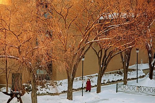 19012022
A woman walks through the snow at Brandon University as the last glow of sunlight lights up the trees on a cold Wednesday. (Tim Smith/The Brandon Sun)