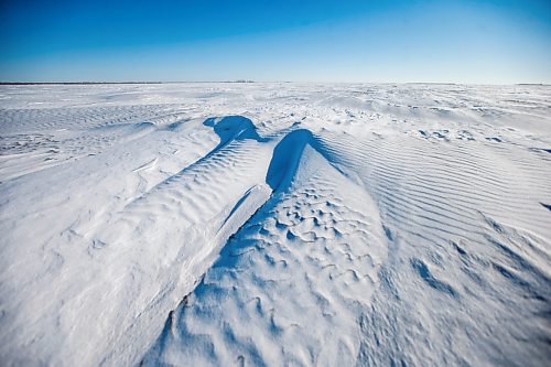 MIKAELA MACKENZIE / WINNIPEG FREE PRESS

Snowy fields near the Canada/US border about 10km east of Emerson on Thursday, Jan. 20, 2022. Two adults, one teenager, and one infant were found deceased in the area. For Chris Kitching story.
Winnipeg Free Press 2022.