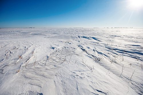 MIKAELA MACKENZIE / WINNIPEG FREE PRESS

Snowy fields near the Canada/US border about 10km east of Emerson on Thursday, Jan. 20, 2022. Two adults, one teenager, and one infant were found deceased in the area. For Chris Kitching story.
Winnipeg Free Press 2022.