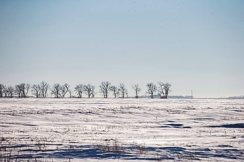 MIKAELA MACKENZIE / WINNIPEG FREE PRESS

Snowy fields near the Canada/US border about 10km east of Emerson on Thursday, Jan. 20, 2022. Two adults, one teenager, and one infant were found deceased in the area. For Chris Kitching story.
Winnipeg Free Press 2022.