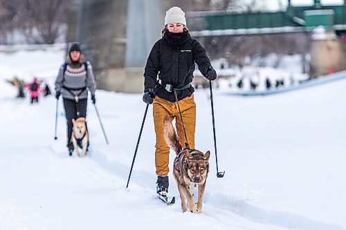 Daniel Crump / Winnipeg Free Press. Caroline Thiessen (front) with her dog Ernie and Haley Karr (back) with her dog Juniper skijor on the Assiniboine river near the Forks, Saturday afternoon. January 22, 2022.