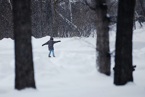 JOHN WOODS / WINNIPEG FREE PRESS
A person practices their skating moves at St. Vital Park, Sunday, January 23, 2022. 

Re: standup