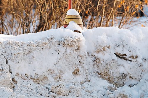 JOHN WOODS / WINNIPEG FREE PRESS
A snow covered fire hydrant on Academy, Monday, January 24, 2022. The city is getting complaints about their snow clearing efforts this winter.

Re: ?