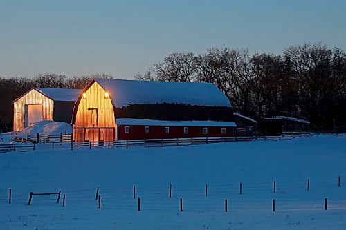 24012022
The setting sun reflects off a barn north of Brandon along Highway 10 on a clear Monday afternoon.  (Tim Smith/The Brandon Sun)