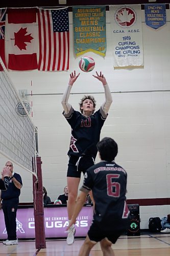 Assiniboine Cougars Noah Barcellona sets against the Providence Pilots during their Manitoba Colleges Athletic Conference men's volleyball match at ACC on Friday. (Thomas Friesen/The Brandon Sun)