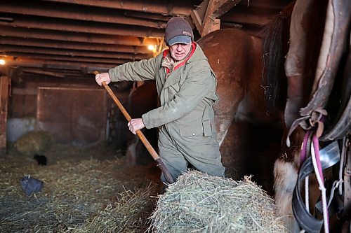 02022022
Farmer Randy Delgaty puts out feed for his Clydesdale horses after bringing them into the stable for the night at his farm north of Minnedosa on a cold Wednesday. Delgaty has been farming for almost 69 years. (Tim Smith/The Brandon Sun)