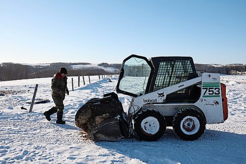 02022022
Farmer Randy Delgaty brings silage to his cattle at his farm north of Minnedosa on a cold Wednesday. Delgaty has been farming for almost 69 years. (Tim Smith/The Brandon Sun)