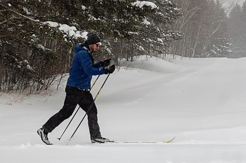A cross-country skier explores Riding Mountain National Park. (Chelsea Kemp/The Brandon Sun)